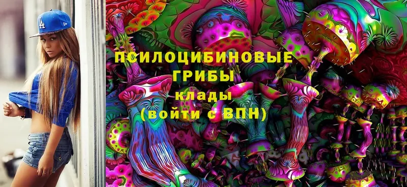 где можно купить   кракен рабочий сайт  Псилоцибиновые грибы Magic Shrooms  Ветлуга 